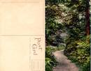 Postcard from Woodland Park Seattle, Washington