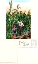 Postcard of a father and son standing in a corn field in the Great Northwest 1910