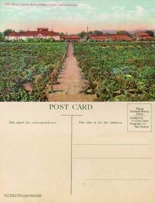 Postcard of the Wine Cellars, Italian-Swiss Colony, Asti, California