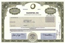 Razorfish, Inc. - Internet Dot Com Roller Coaster