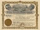 Redman Extension Mining Company - Arizona 1908