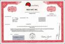 Red Hat, Inc - Microsoft Windows Operating System Competitor