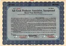 Salt Creek Producers Association, Incorporated