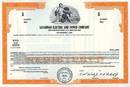 Savannah Electric and Power Company (Southern Company )