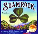 Shamrock Sunkist Citrus Label