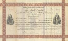 South Central Consolidated Gold Mining and Milling Company 1895
