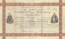 South Central Consolidated Gold Mining and Milling Company 1895