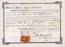 State of Illinois Citizenship Certificate for a Free White Person 1866