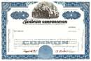 Sunbeam Corporation