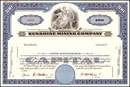 Sunshine Mining Company