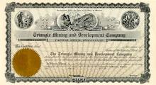 Triangle Mining and Development Company