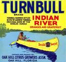 Turnbull Citrus Label - Indian in Canoe