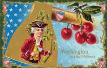 Washington His Truthfulness Postcard