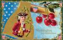 Washington His Truthfulness Postcard