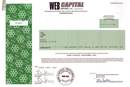 Web Capital Ventures, Inc.