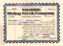 Wilshire Bishop Creek Company 1910