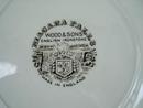 Wood & Sons Ironstone Niagara Falls Plate