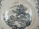 Staffordshire Crown Clarence Dinner Plate-Rare