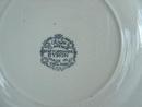 Staffordshire Crown Clarence Dinner Plate-Rare
