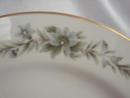 Pretty Creative Manor Dinner Plate