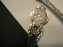 Herritage Collection of American States Spoon