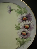 Gorgeous Thomas Bavaria Hand Painted Daisies Plate