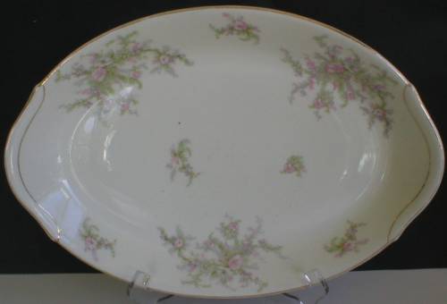 Beautiful Warwick China Large Platter - June Bride