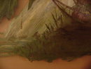 1800s Glass Oil Painting * Wild Flowers *