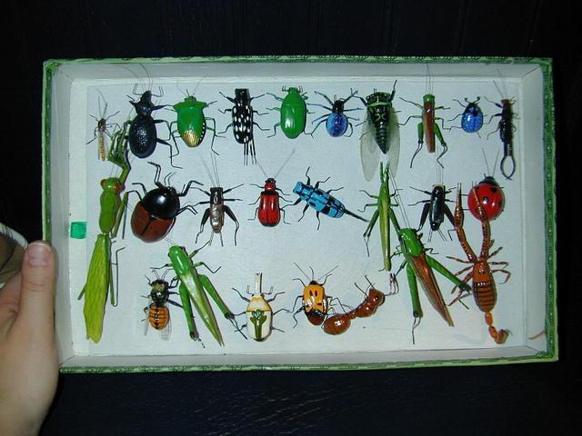 Clay Bug Box