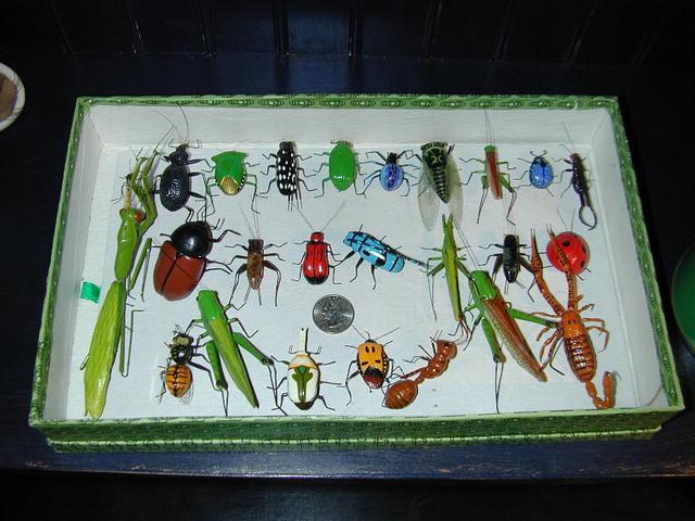 Clay Bug Box