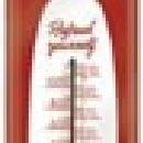 Boy's Thermometer