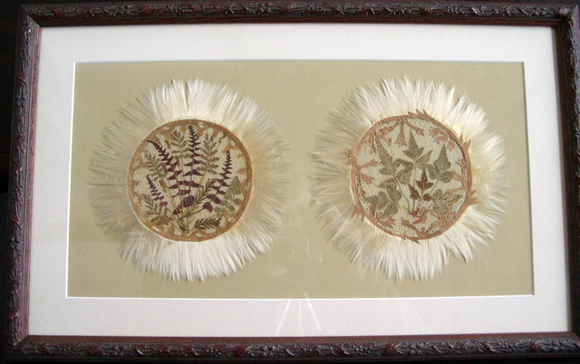 Dried ferns and seed wings