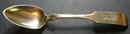 Coin Serving Spoon