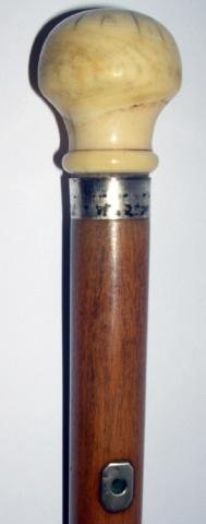 Ivory top lignum vitae stick