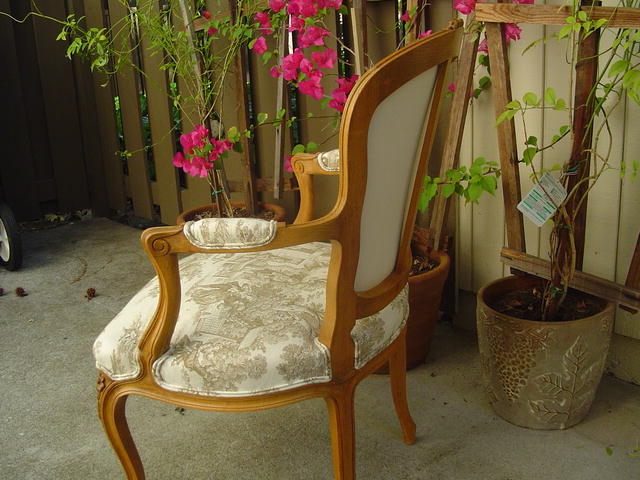 French Provincial style Beachwood Chairs