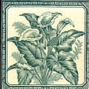 English Transfer Tile