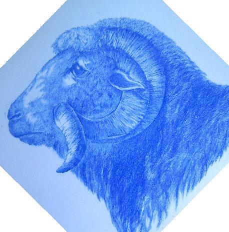 Butcher Shop Tile Wm. Wise Minton 12