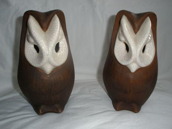 Brayton Laguna Owls
