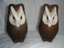 Brayton Laguna Owls