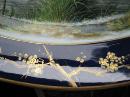 European Hand Painted Scenic Platter - ANTIQUE -