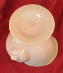 CROWN Tuscan NAUTiLUS Shell VASE - Cambridge -