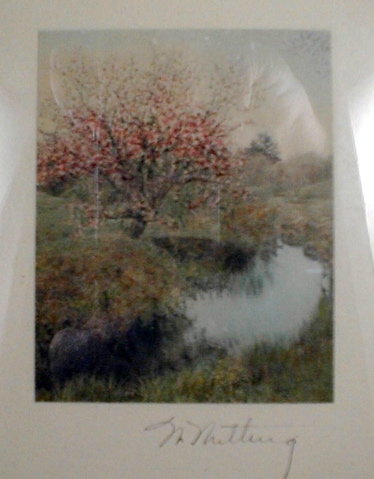 WALLACE NUTTING Scene Hand Colored Cherry Tree