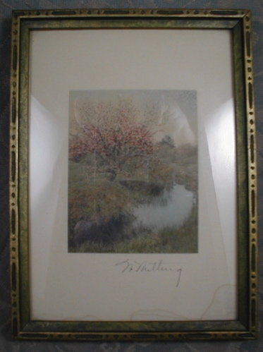 WALLACE NUTTING Scene Hand Colored Cherry Tree