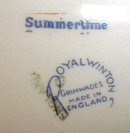 ROYAL WINTON Summertime CHINTZ Square PLATE - 7 inch -