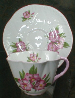 SHELLEY Oleander DAINTY - Cup and Saucer -