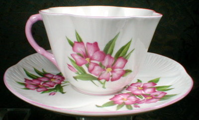 SHELLEY Oleander DAINTY - Cup and Saucer -