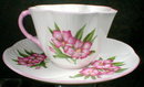 SHELLEY Oleander DAINTY - Cup and Saucer -
