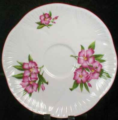 SHELLEY Oleander DAINTY - Cup and Saucer -