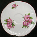 SHELLEY Oleander DAINTY - Cup and Saucer -