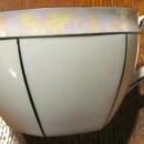 R.S. Germany Lustre 9 piece Tea Set - Fine Porcelain